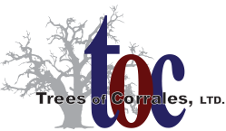 TOC Logo
