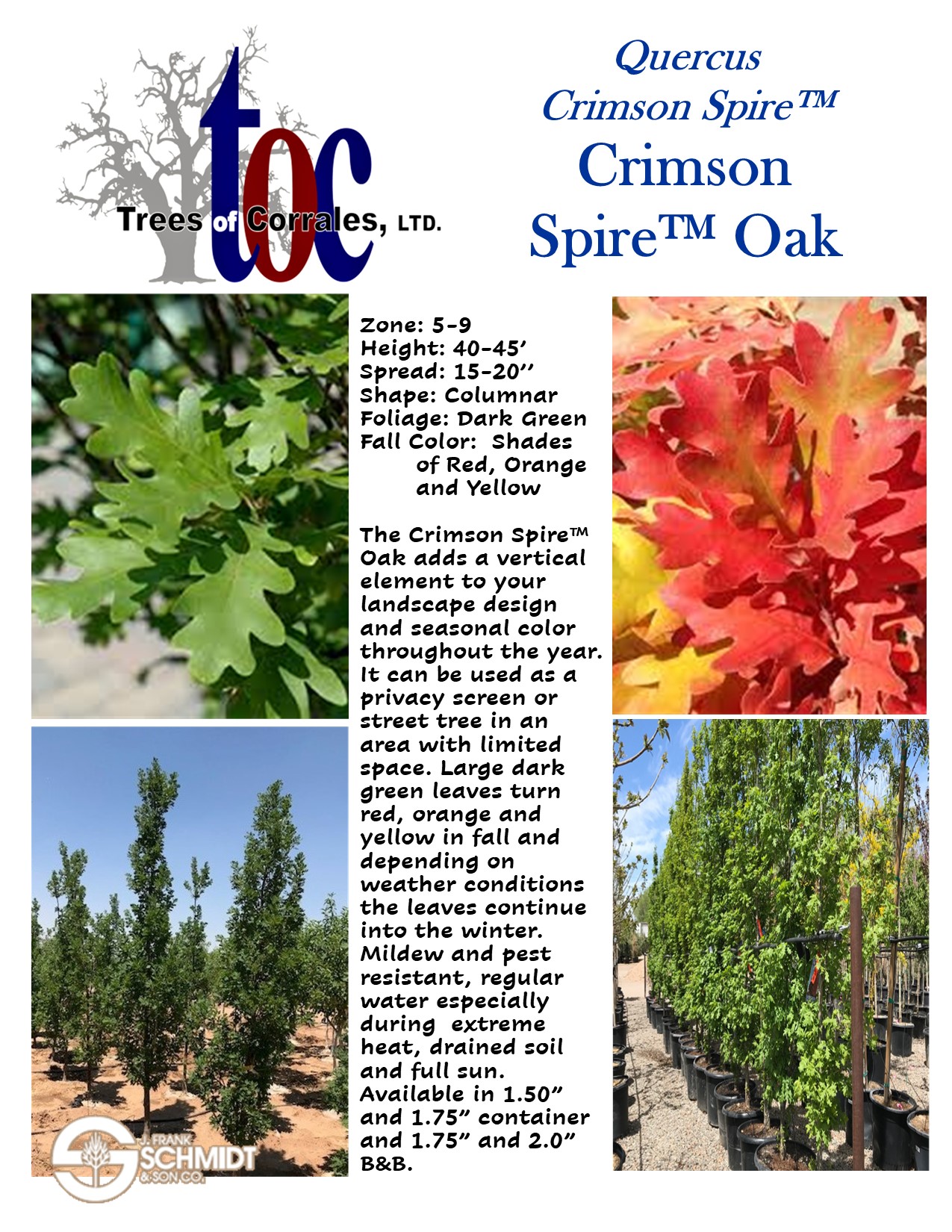 06-4-2021 Hot Sheet 1 Perennial